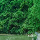 贵州亚马逊丛林➕峡谷漂流！超爽！