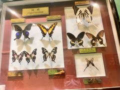 -上海昆虫博物馆