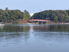 -美兰湖景区