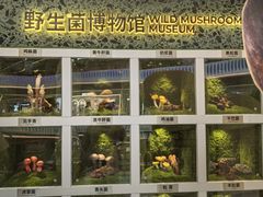 -芸山季·云南山珍菌火锅(南翔印象城MEGA店)