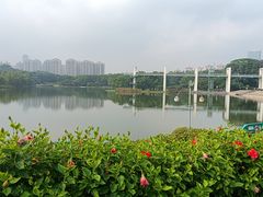 -东莞植物园