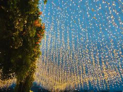 -烛影拾光观景餐厅·创意菜·摄影·小提琴(大唐不夜城店)