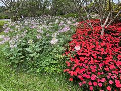 -中国科学院西双版纳热带植物园