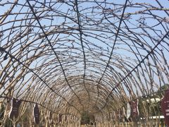 -武汉紫薇都市田园