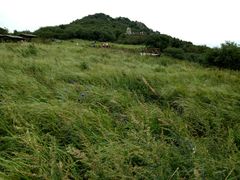 -野三坡百草畔景区