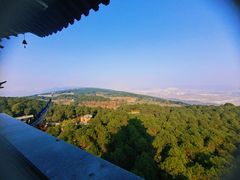 -铁山坪森林公园