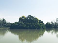 -大湾区中央湿地公园