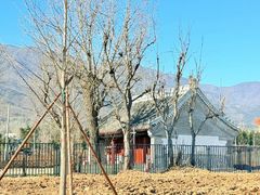 -阳台山自然风景区