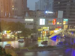 -望乡楼上海菜(日月光店)