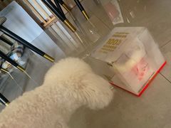 -纳吉亚猫专科动物医院·北北分院