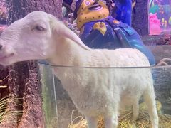 -正佳雨林生态植物园