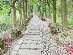 -皤滩古镇
