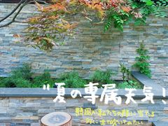 -Willing·Coffee&Brunch&Dinner(万达店)