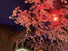 -荷塘秋月·本帮江浙菜(国权路店)