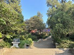 -泰山风景名胜区