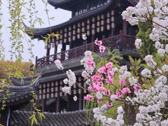-海天楼中餐厅(吴宫泛太平洋酒店)