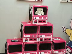 -静宜和她的朋友(星海广场店)