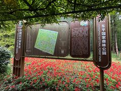 -东平国家森林公园