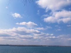-丁香湖公园