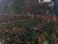 -黑龙江省森林植物园