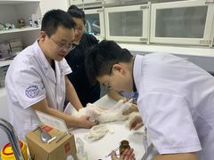 -太原东方动物医院(小店分院)