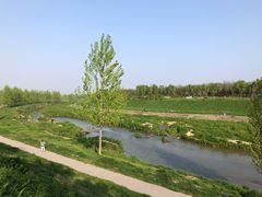 -洨河生态公园