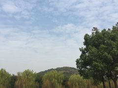 -上海月湖雕塑公园
