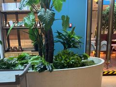 -悦海·家宴·冰花皮皮虾大锅贴(宝龙店)