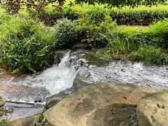 -中国茶叶博物馆(双峰馆区)