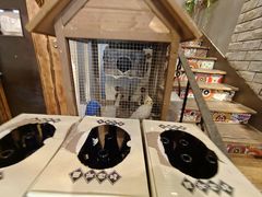 -西西里轰趴日租聚会别墅·团建拓展