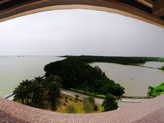 -大湾区中央湿地公园