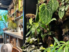 -自由生长植物工作室(深港花卉中心店)