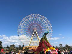 -七彩云南欢乐世界