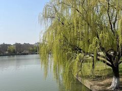-石湖景区