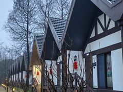 -太阳岛旅游度假区