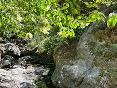 -云岫谷游猎自然风景区