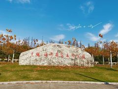 -上海海湾国家森林公园