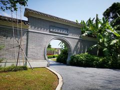 -宝安西湾红树林湿地公园