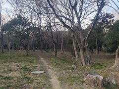 -蜀冈西峰生态公园