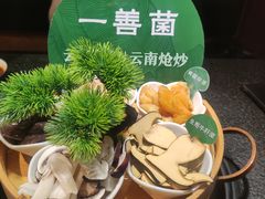 -一善菌·云南菌汤·云南菜(银泰城店)