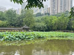 -龙头寺公园