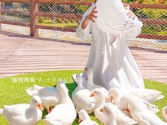 -珠海海泉湾神秘岛亲子乐园