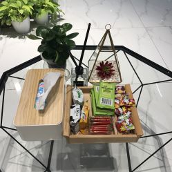 -三只熊皮肤管理中心