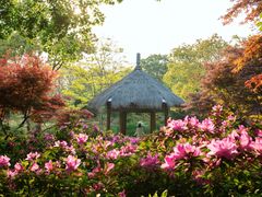 -上海滨江森林公园