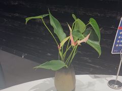 -眉州东坡(清河万象汇店)