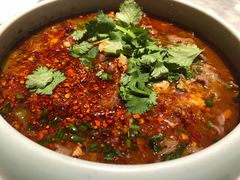 -雀蓝川菜(奥体广场店)