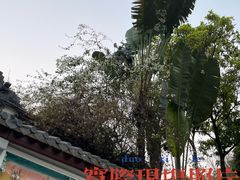 -深圳国际园林花卉博览园