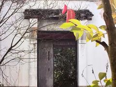 -上海鲜花港