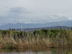 -嘉峪关关城