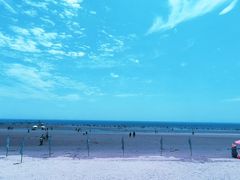 -日照海滨国家森林公园